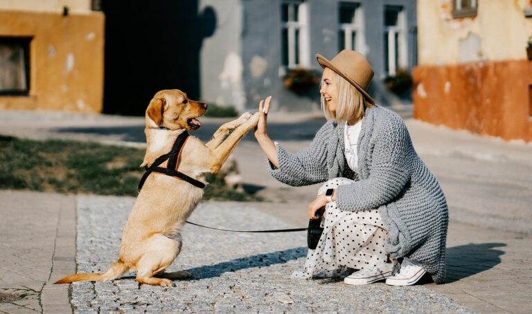 Científicos buscan traducir lo que dice tu perro usando IA
